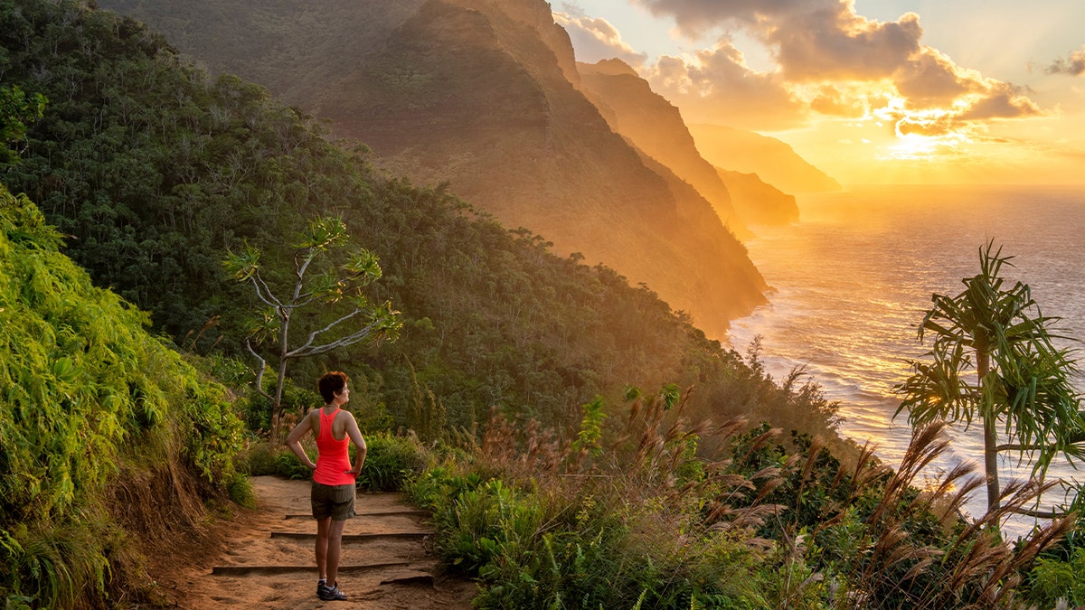 Hiker looking off Hawaiian coast