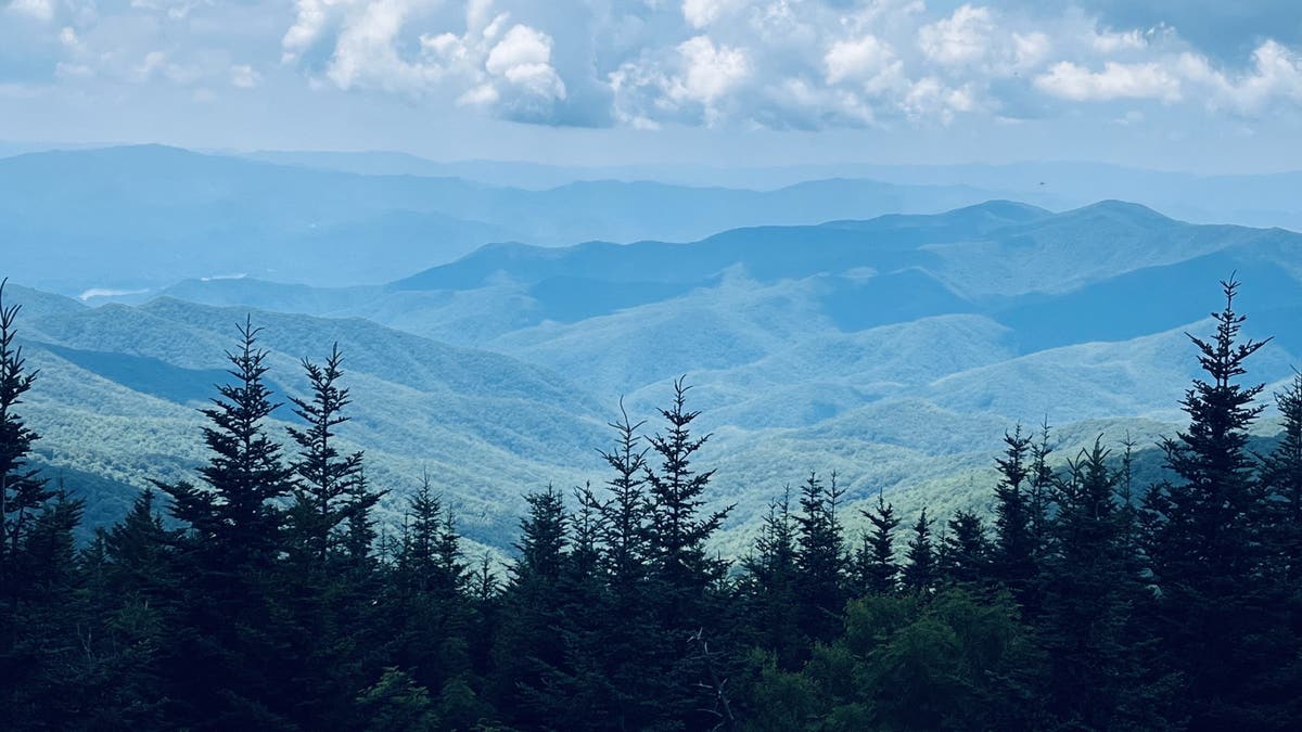 Smoky Mountains view