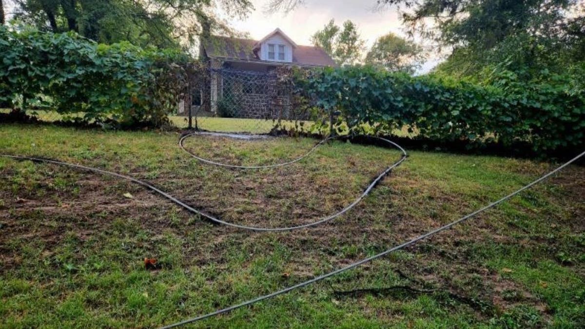 Wide view of wire outside house