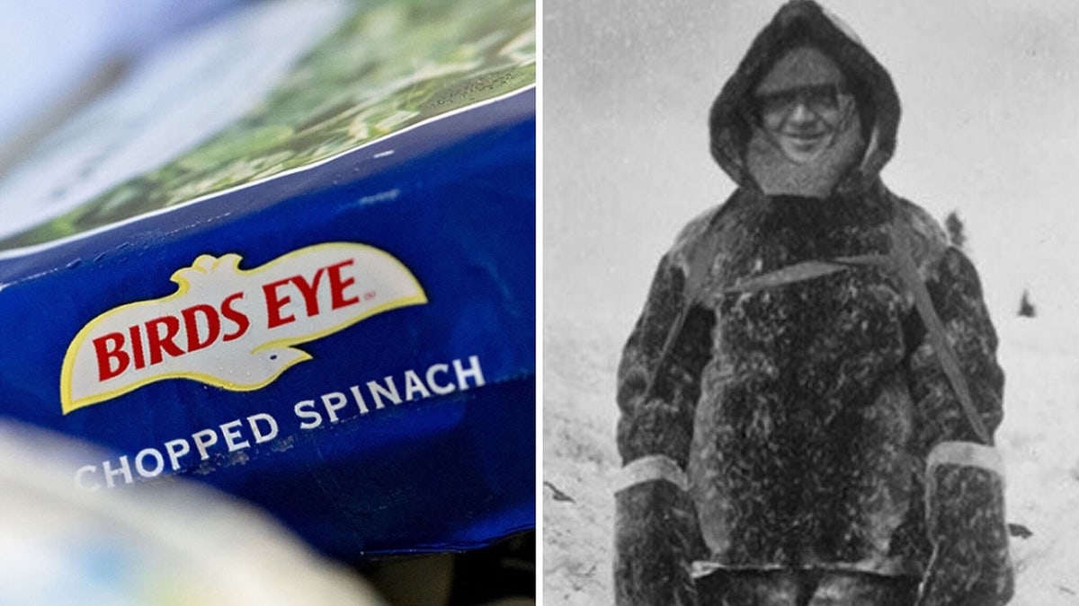 Clarence Birdseye polegar dividido