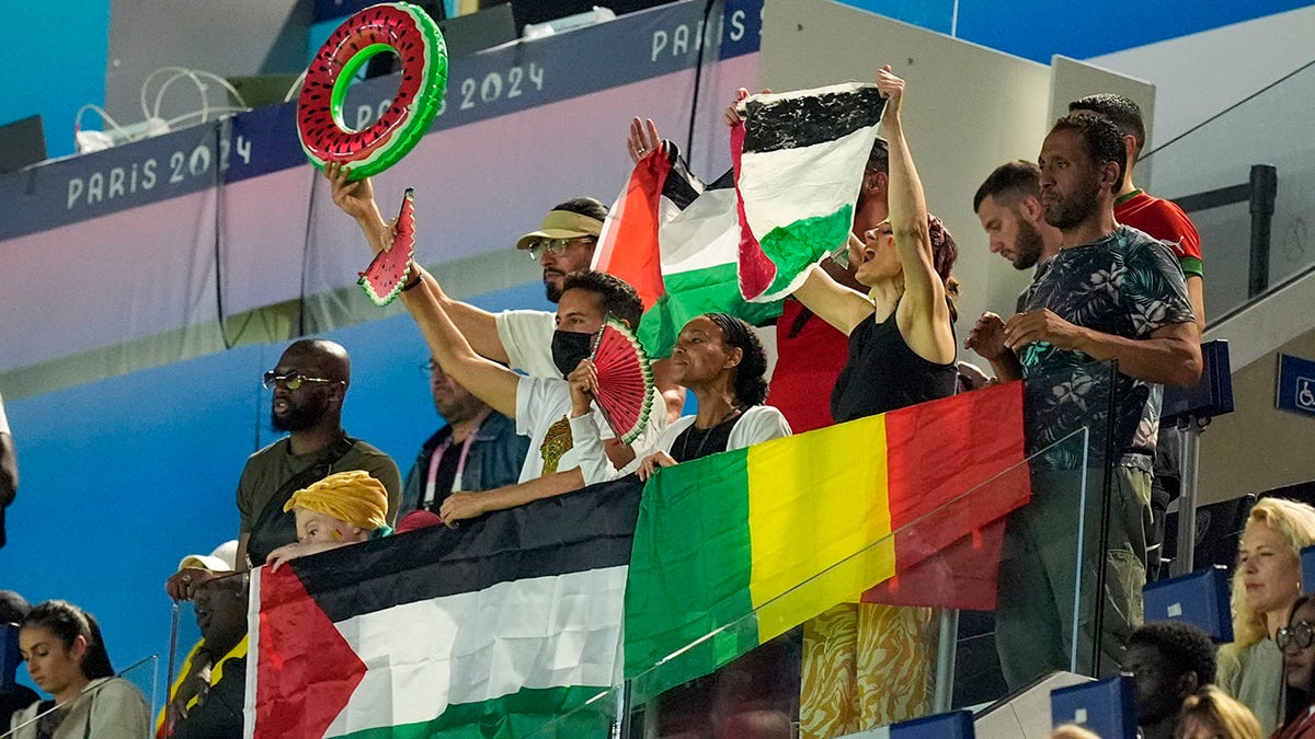 Palestine supporters