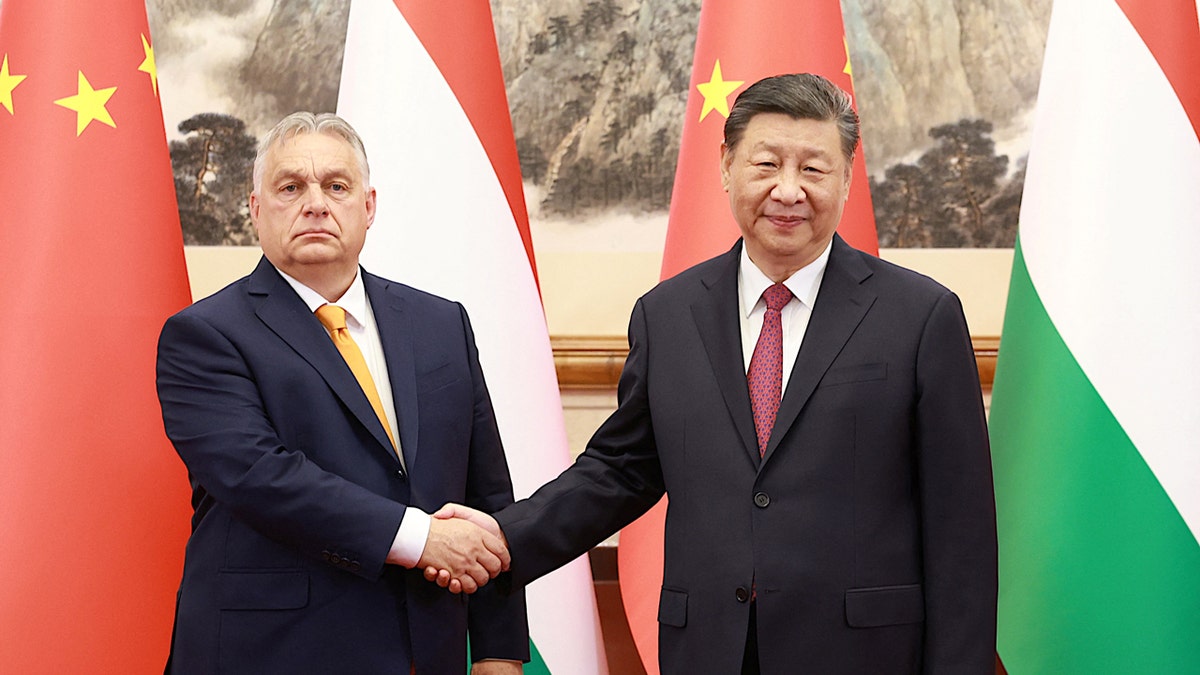 Chinese President Xi Jinping meets Hungary's Prime Minister Viktor Orban.