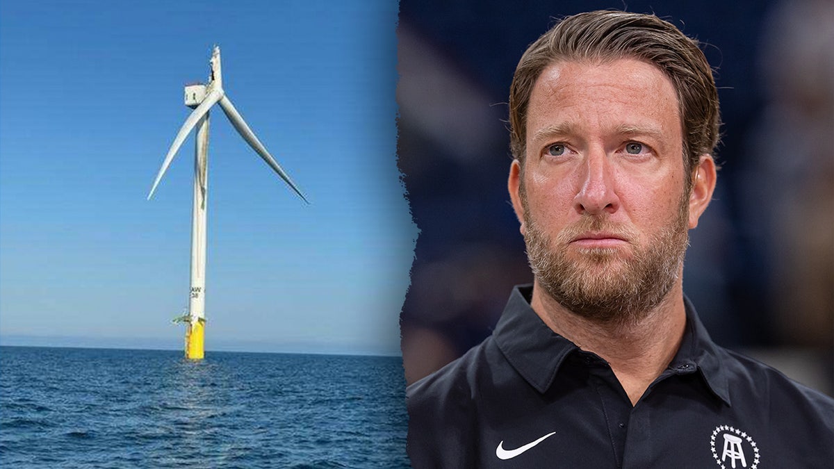 Dave Portnoy and wind turbine split image.