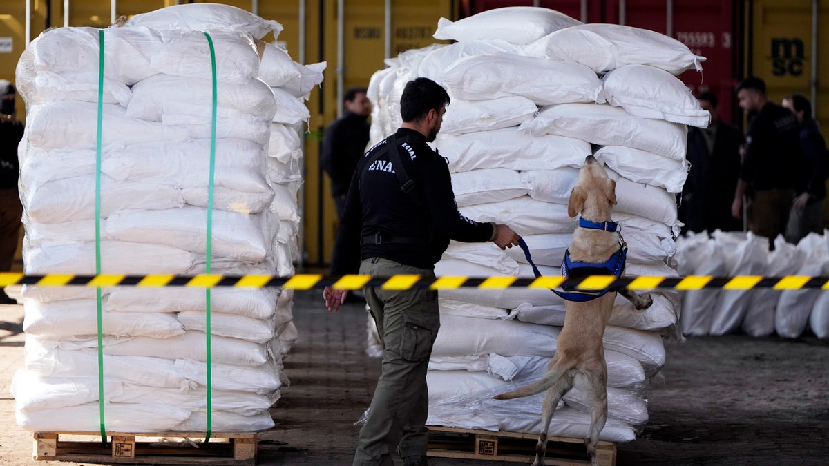 A drug-sniffing dog from Paraguay’s anti-drug agency, Senad, inspects bags of sugar at the port of Caacupemi.