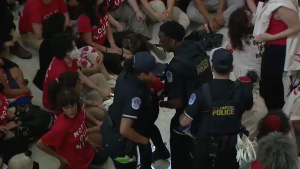 Protesters in the Cannon Rotunda 