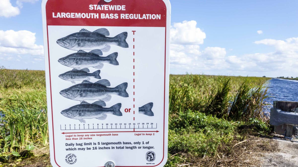 A sign at the Francis S. Taylor Wildlife Management Area in Florida shows the statewide largemouth bass regulation requirements for anglers.