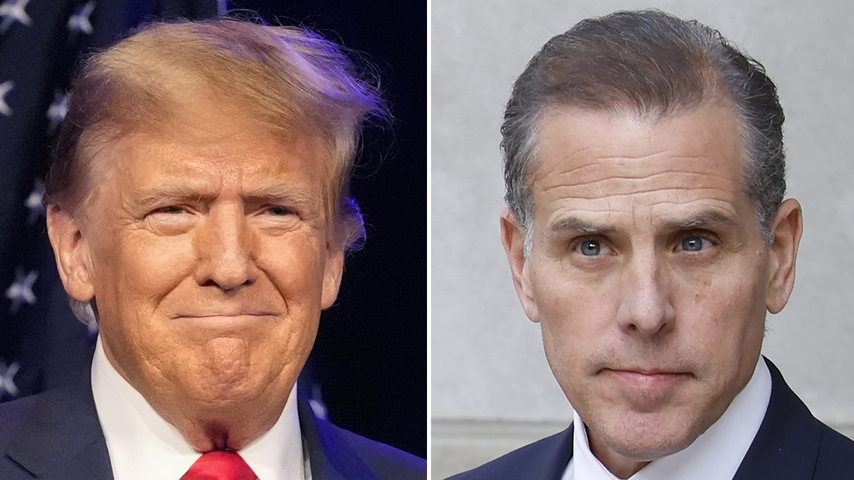 photos arranged of Trump and Hunter biden