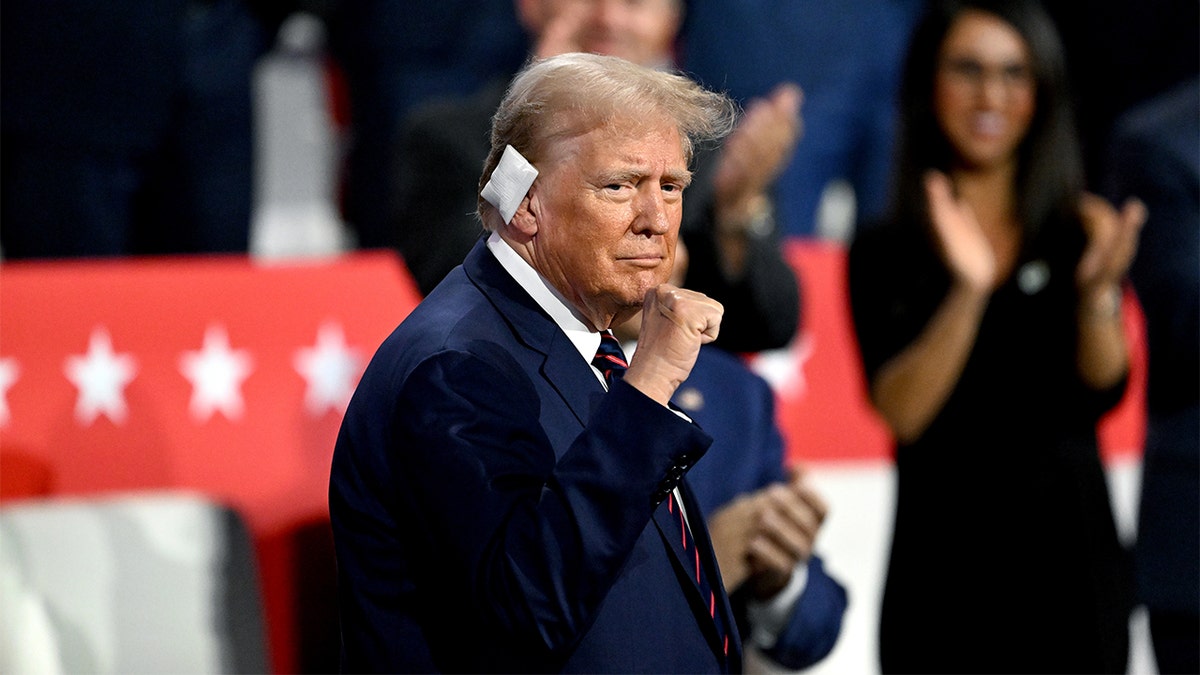 Former President Trump with his fist in the air and a bandaged ear.