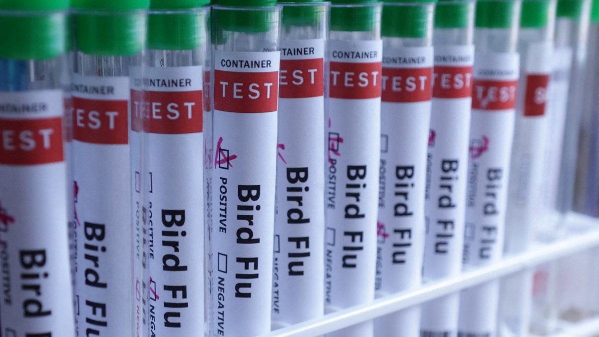 Test tubes are seen labelled "Bird Flu" words in this illustration.