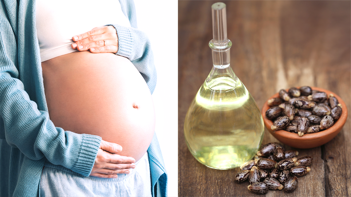 Pregnant belly next to a photo of castor oil and beans