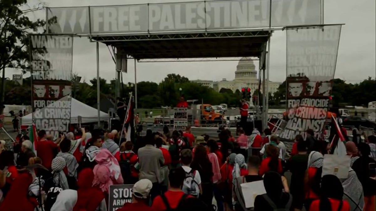 Anti-Israel protests in DC