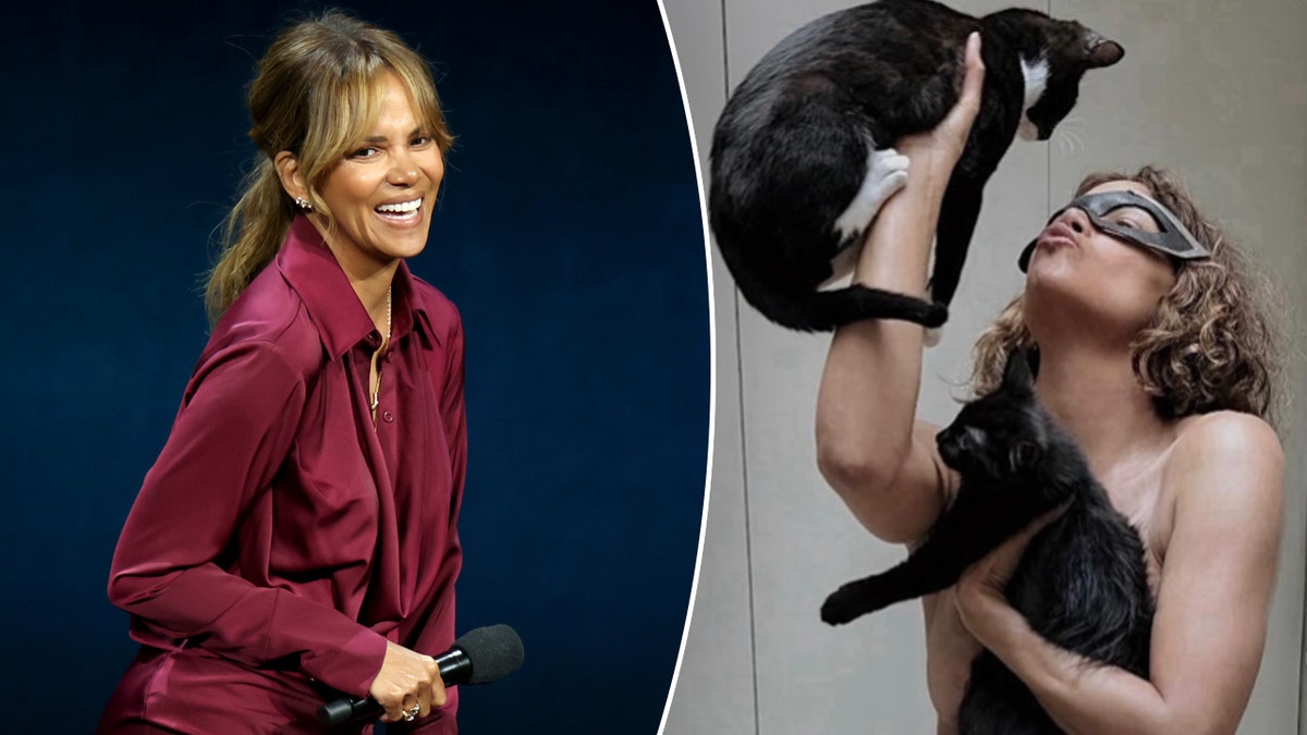 Halle Berry on stage split with her posing topless with her cats.