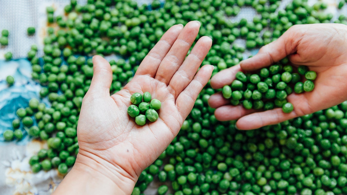 handful-of-peas