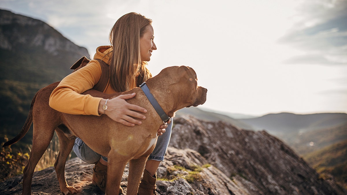 A woman observing the view from a mountain on a hike with her dog