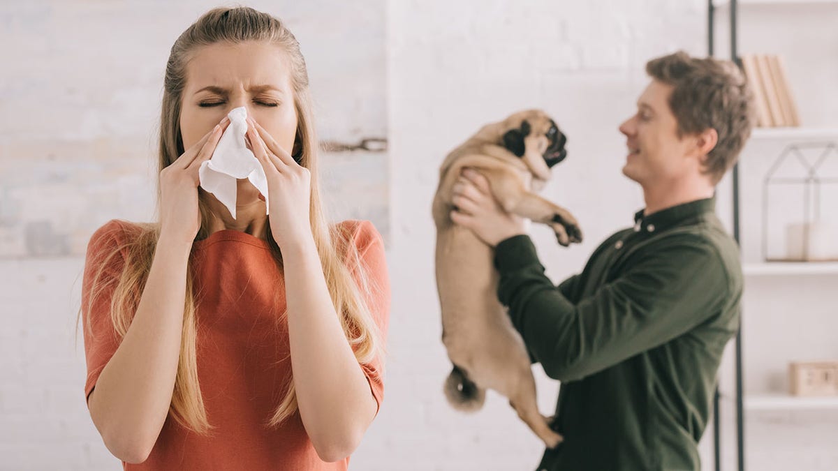 Man holding pug in background with woman in front sneezing.