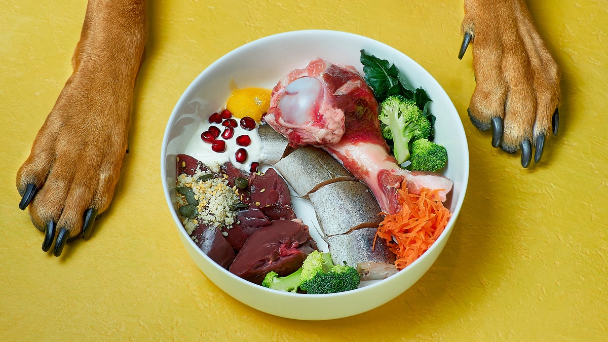 A dog's paws are seen in front of a bowl of healthy human food.