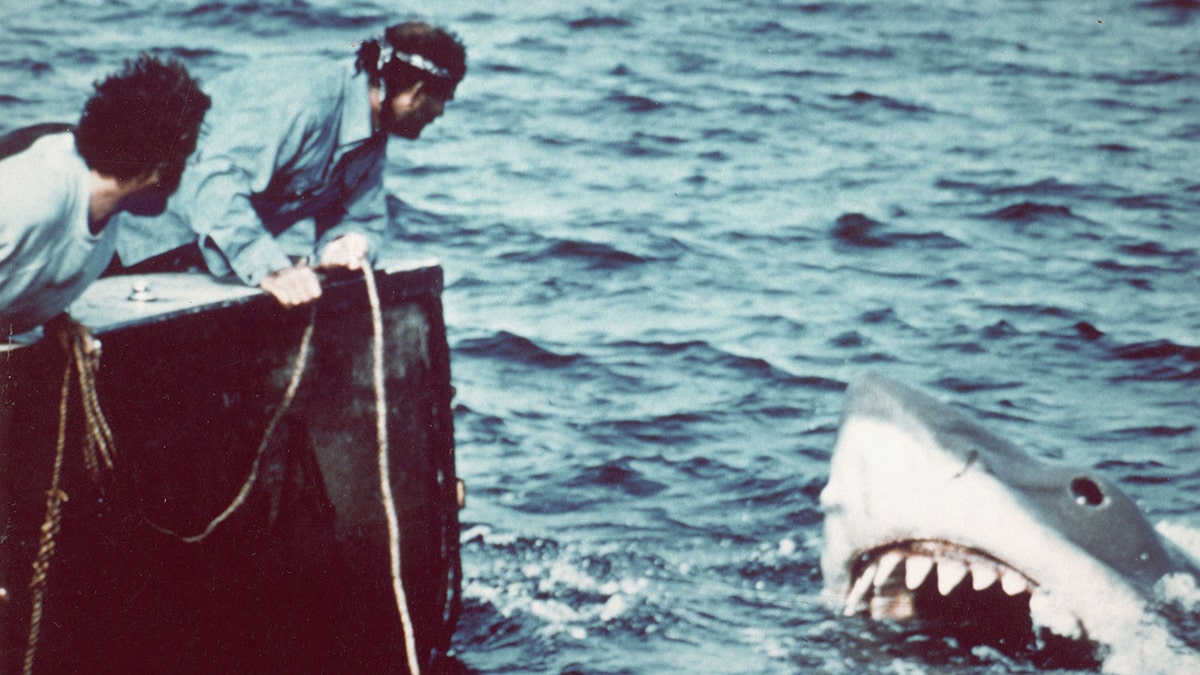 A still from "Jaws" 