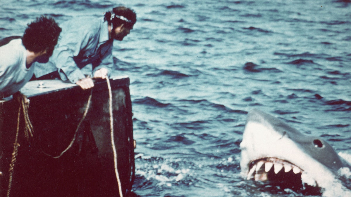 A still from "Jaws"
