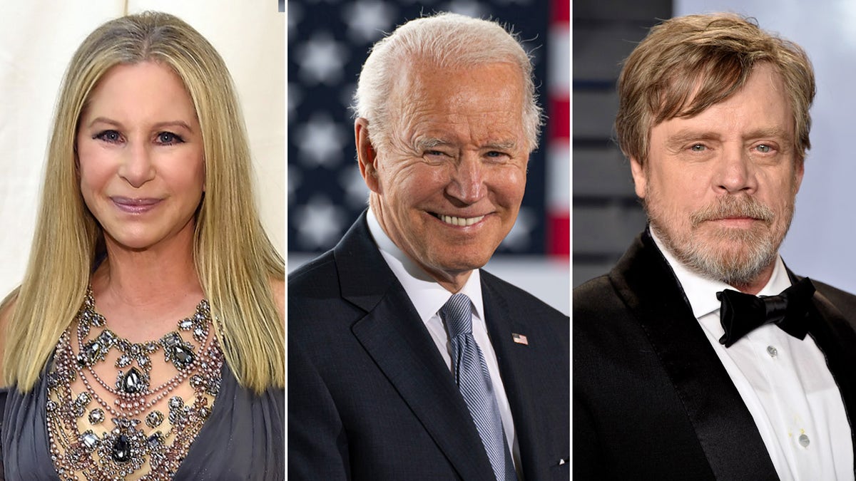 Barbra Streisand, Mark Hamill walk red carpet alongside President Joe Biden