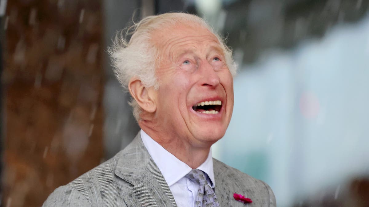 A photo of King Charles standing in rain