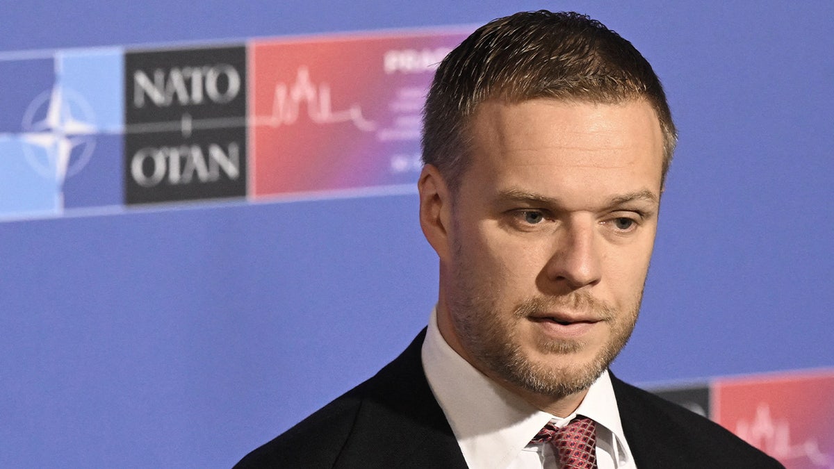 Lithuania's Foreign Minister Gabrielius Landsbergis