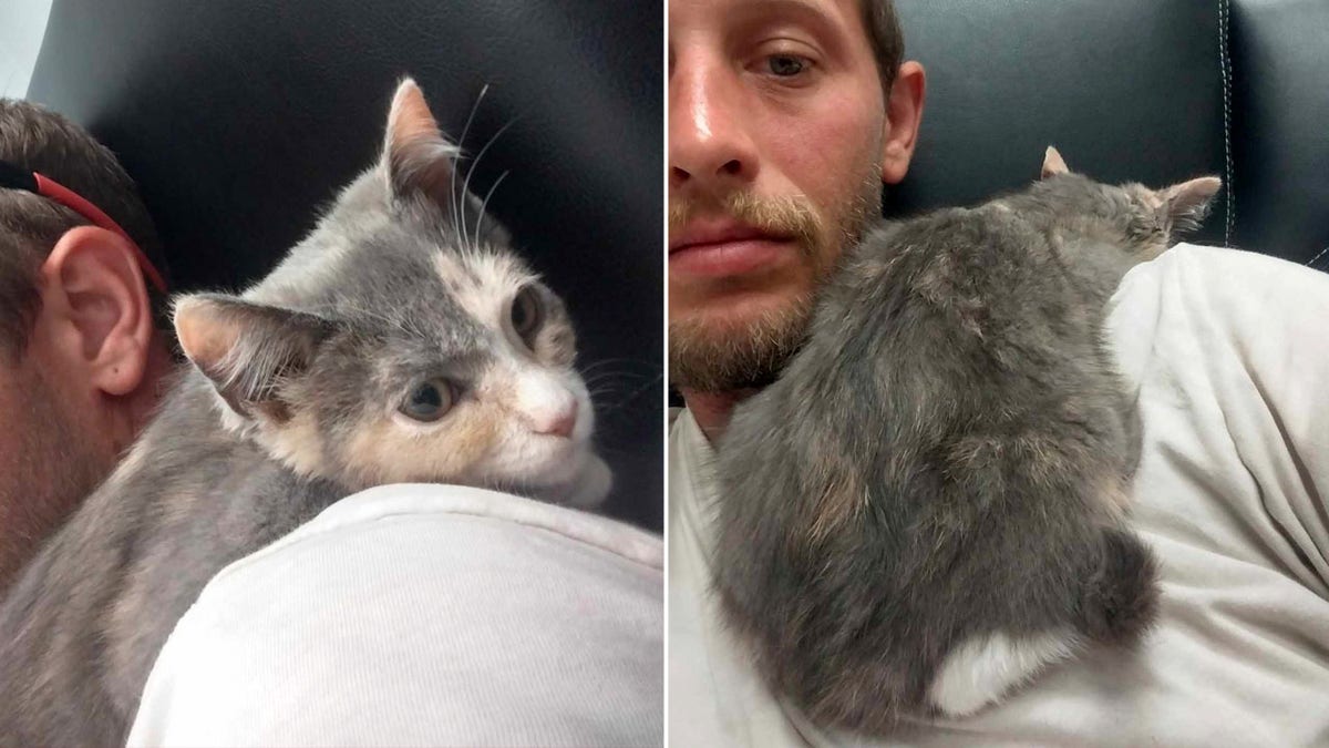 Split image of a man with a cat in two poses.