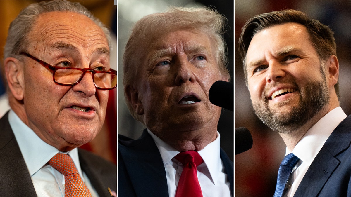 Schumer, Trump and Vance three-way split