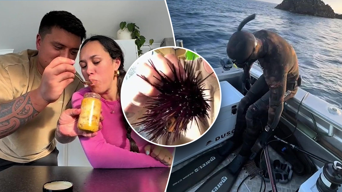 Sea urchin eating pregnant woman