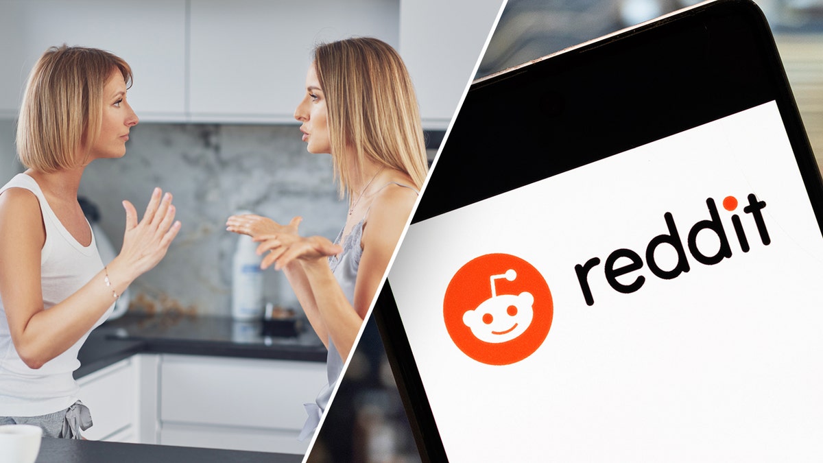 A split photo of two sisters fighting that is next to an image of the Reddit logo shown on an iPhone.