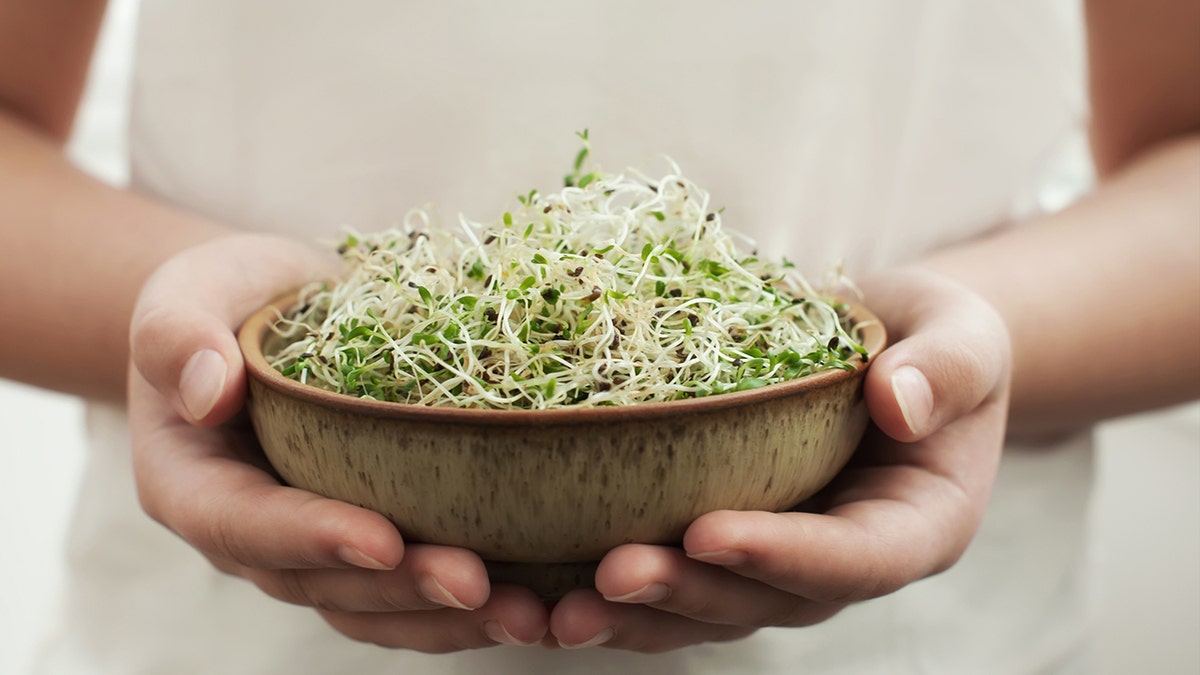 Bowl of sprouts