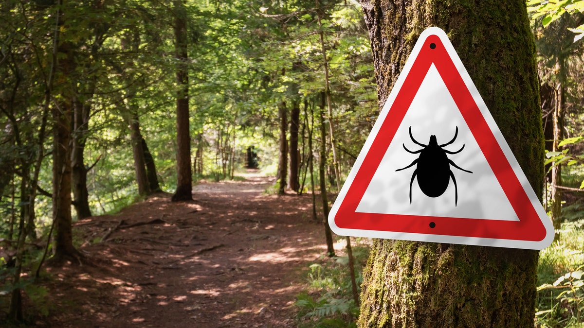 A tick warning sign in the woods