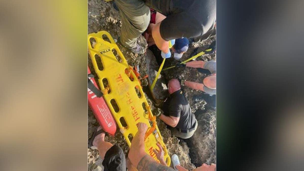 Los equipos de emergencia de Florida trabajan para rescatar una tortuga marina
