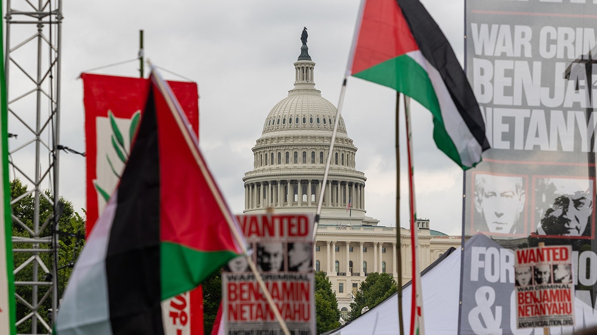 Capitol Building seen behind Palestinian flags, signs