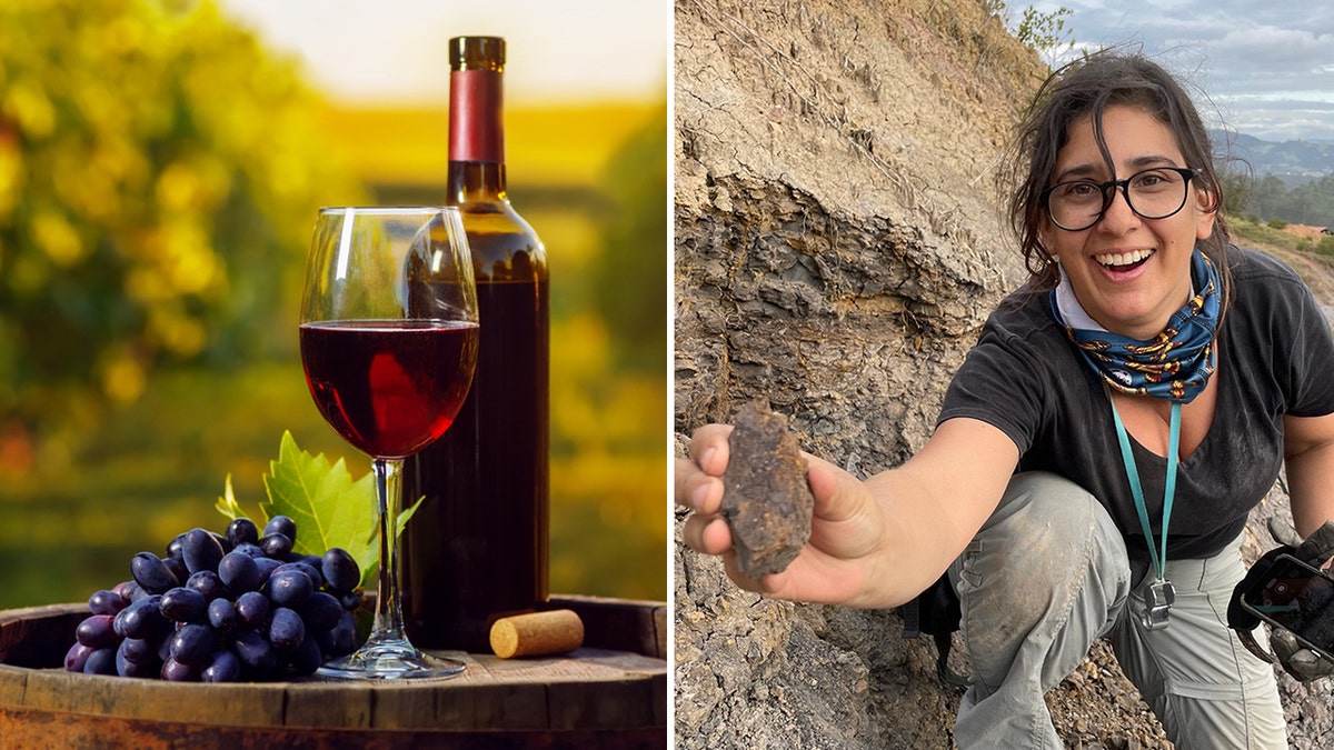 Wine and scientists with fossils