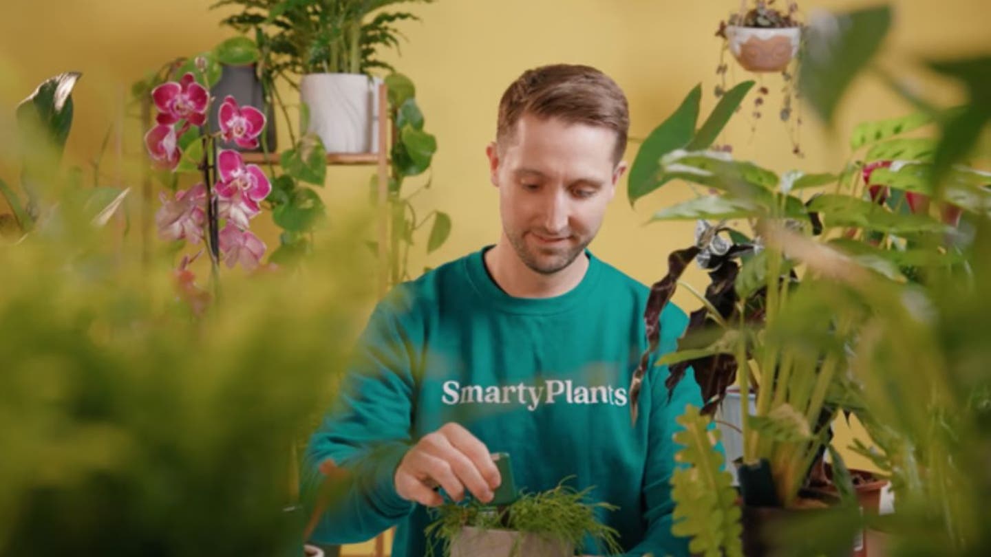 4 End houseplant heartbreak with this new high tech device