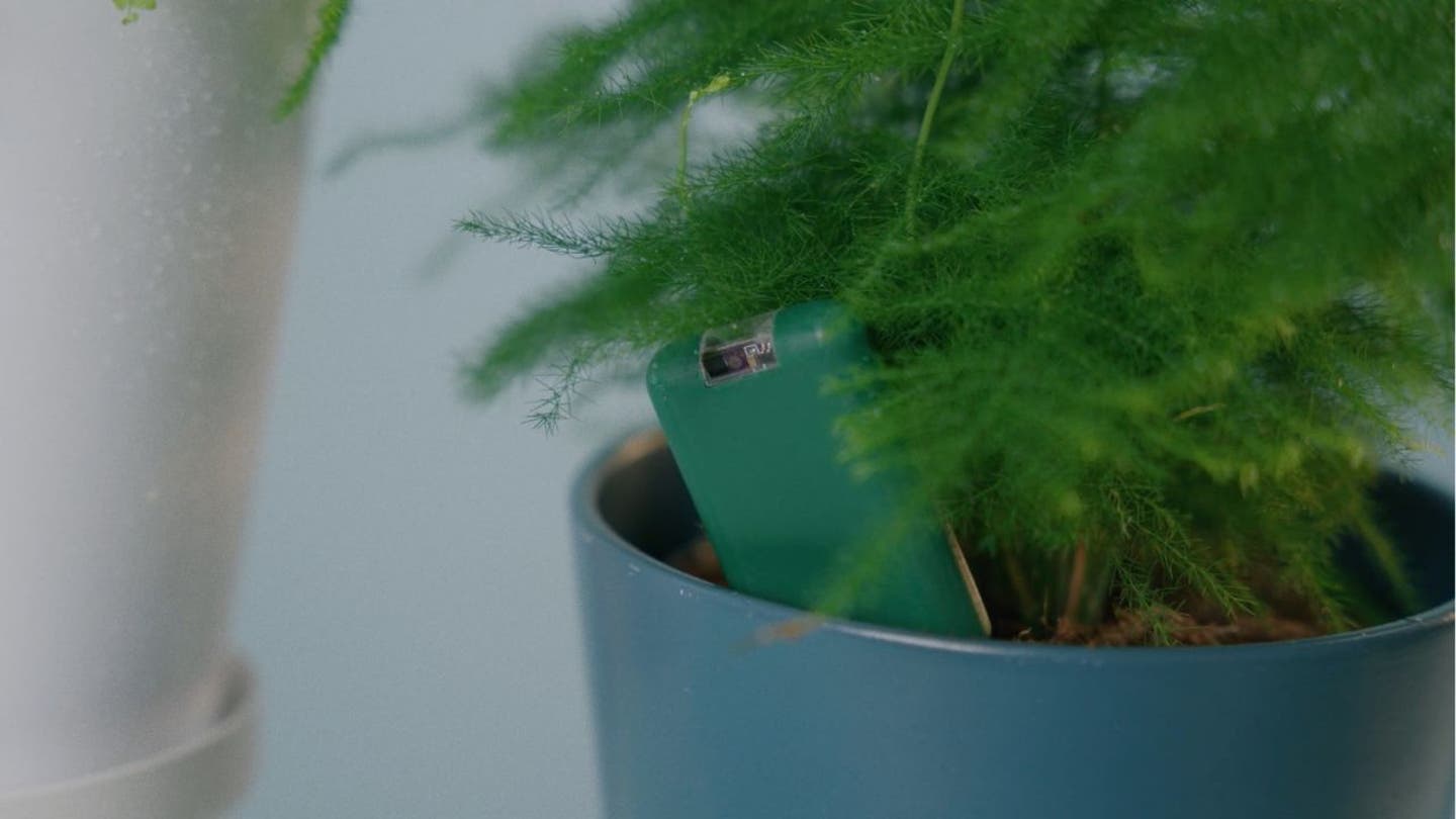 5 End houseplant heartbreak with this new high tech device