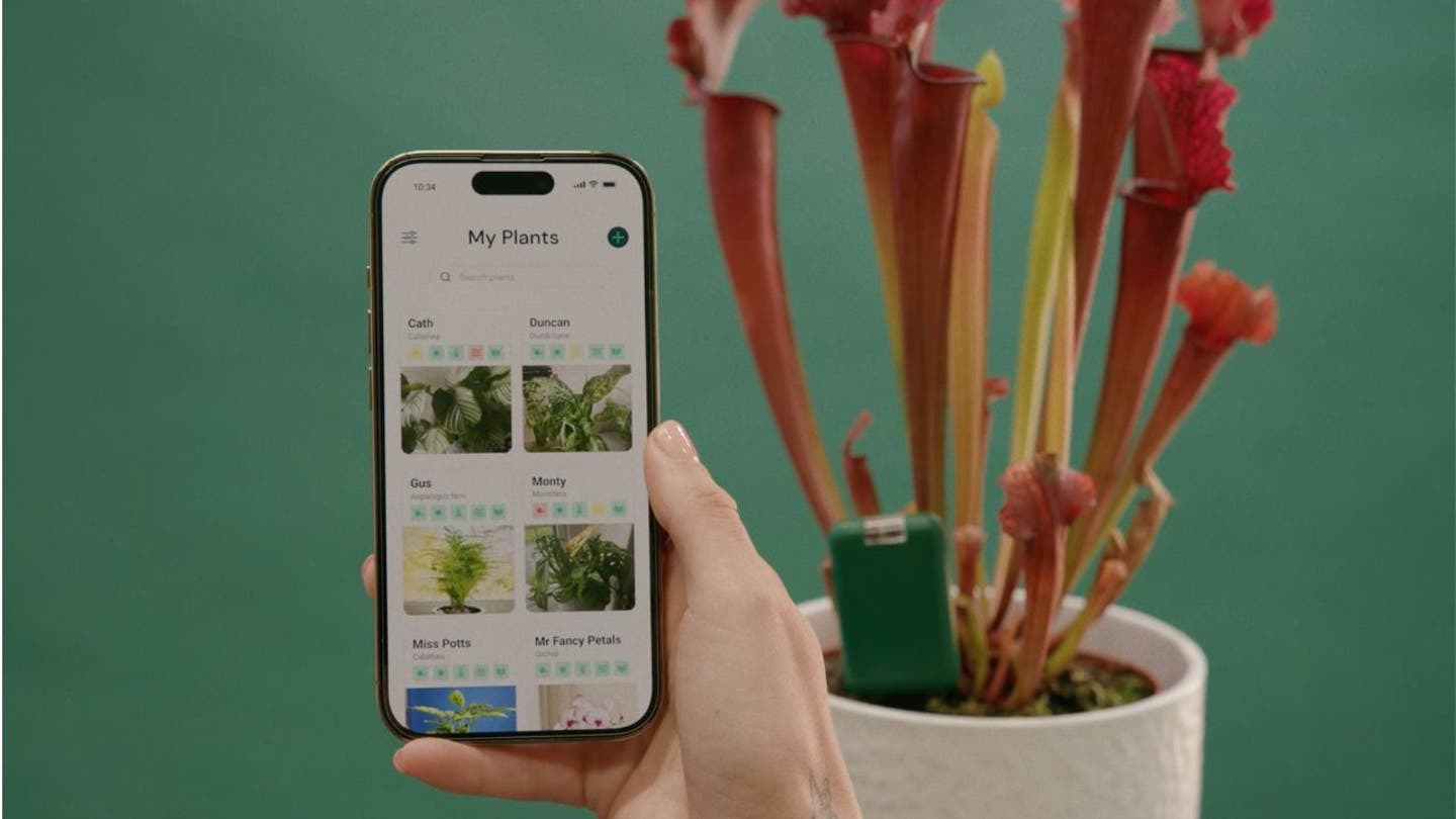 7 End houseplant heartbreak with this new high tech device