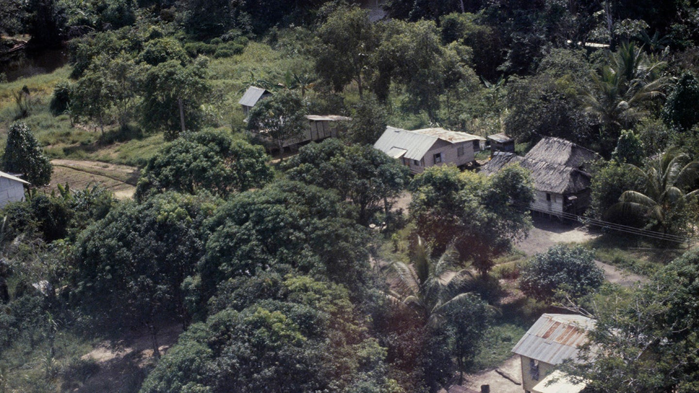 The Chilling Tale of Jonestown: Survivors Reveal the Horrors of a Cult Massacre