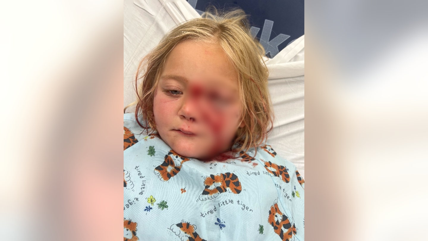 Heroic 8-Year-Old Saves Sister from Vicious Pit Bull Attack, Preventing Fatal Injuries