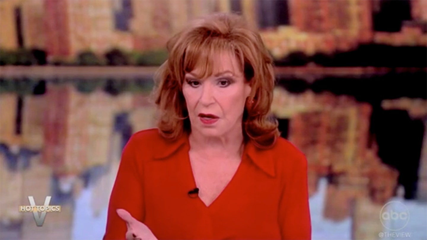 Joy Behar Rebukes Democratic 