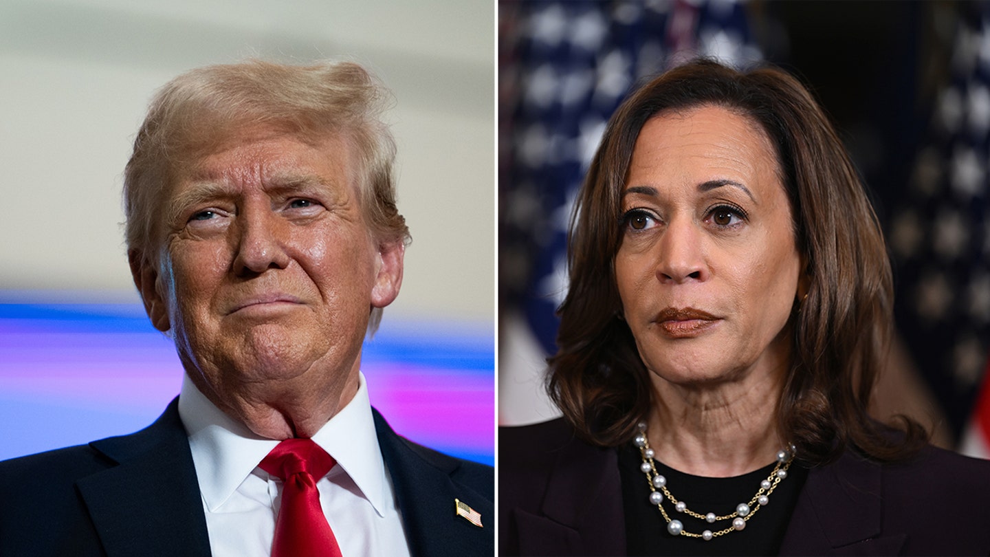 Trump Slams Harris, Accuses Democrats of Robbing Biden of Re-election