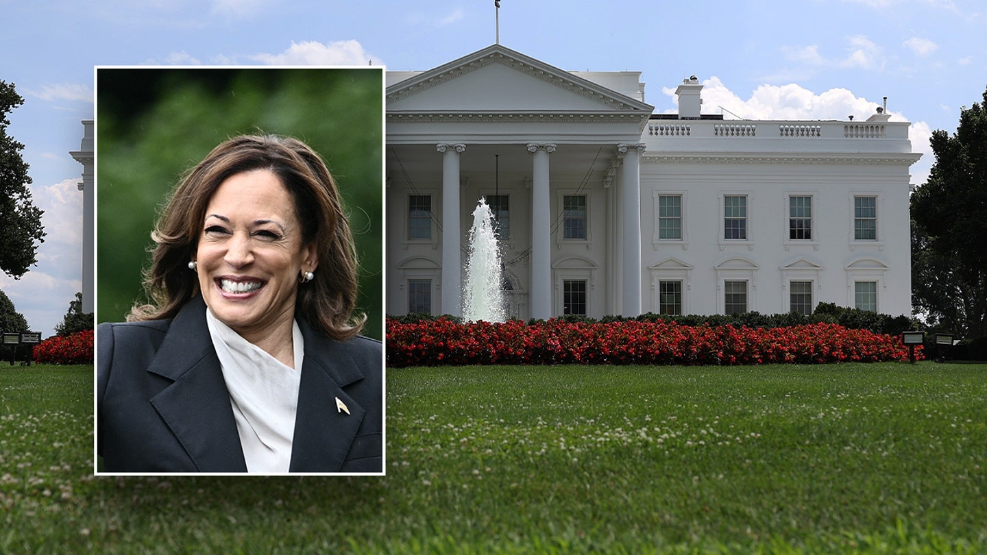 Kamala Harris: A Political Ascendancy