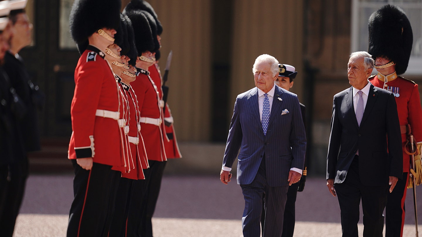 Tourist Bitten by King Charles III's Guard Horse