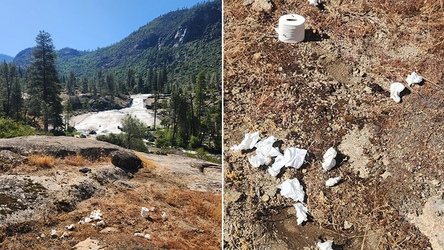 NPS TOLIET PAPER SPLIT