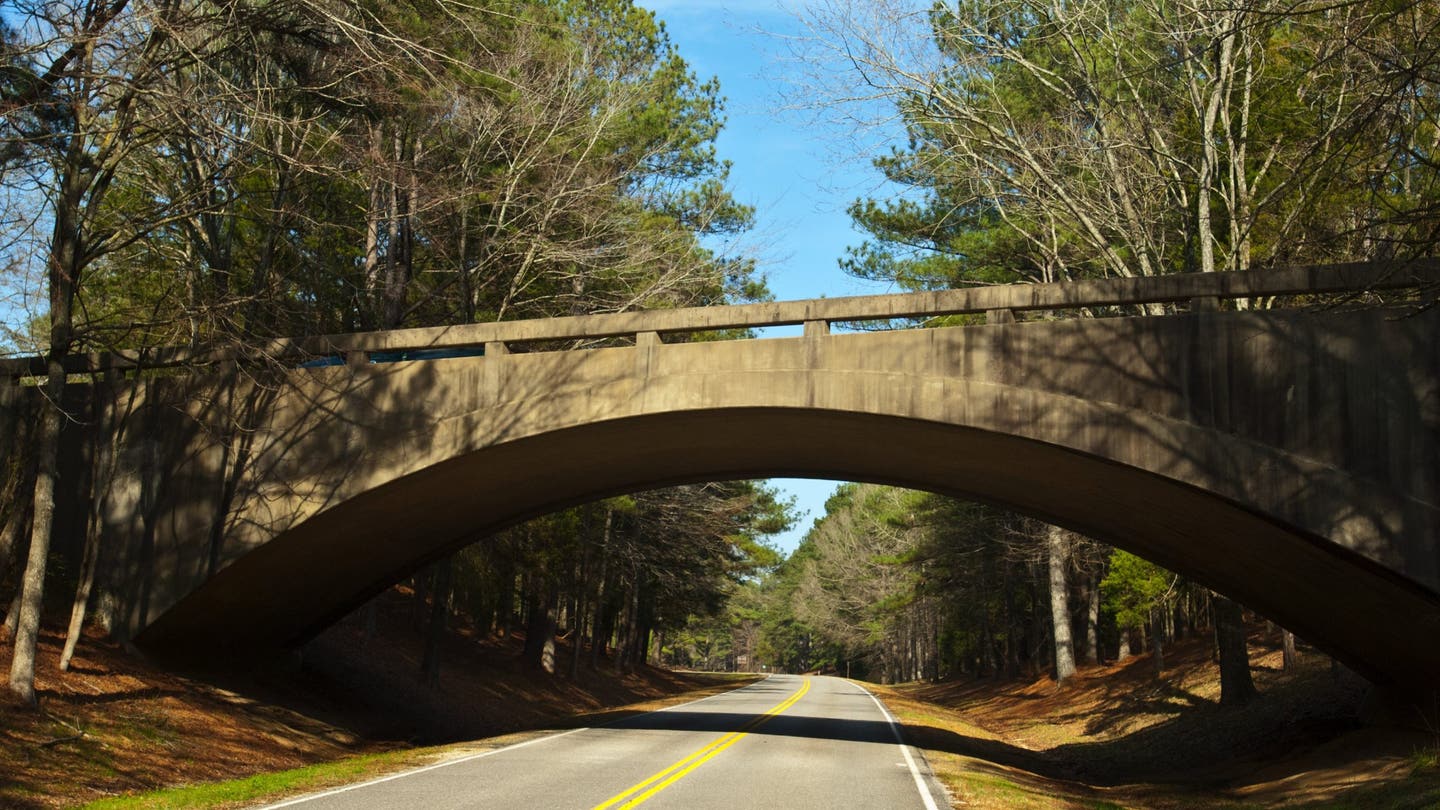 natchez trace parkway scaled