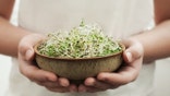 Bowl of sprouts