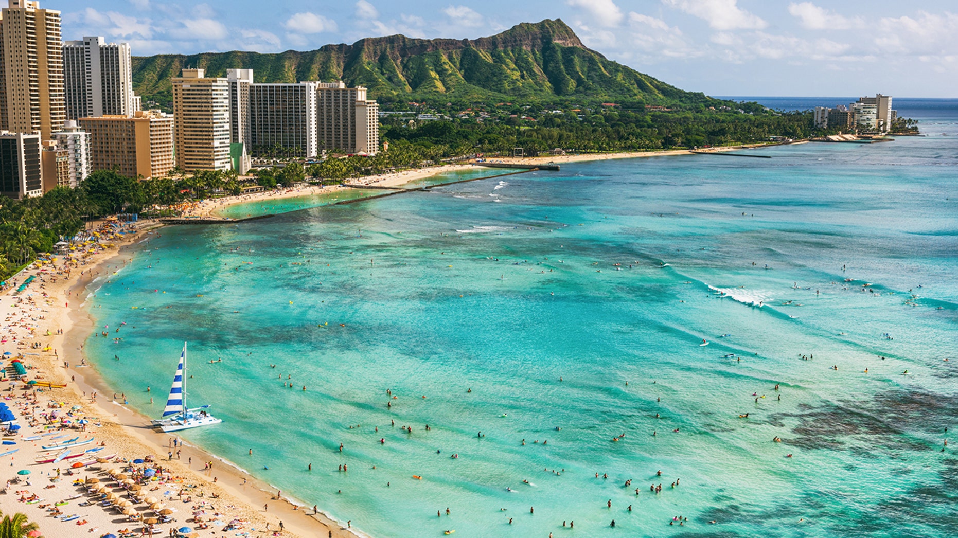Tiger shark spotted off Hawaiian coast prompts warning signs on beach | Fox News Tiger shark spotted off Hawaiian coast prompts... 