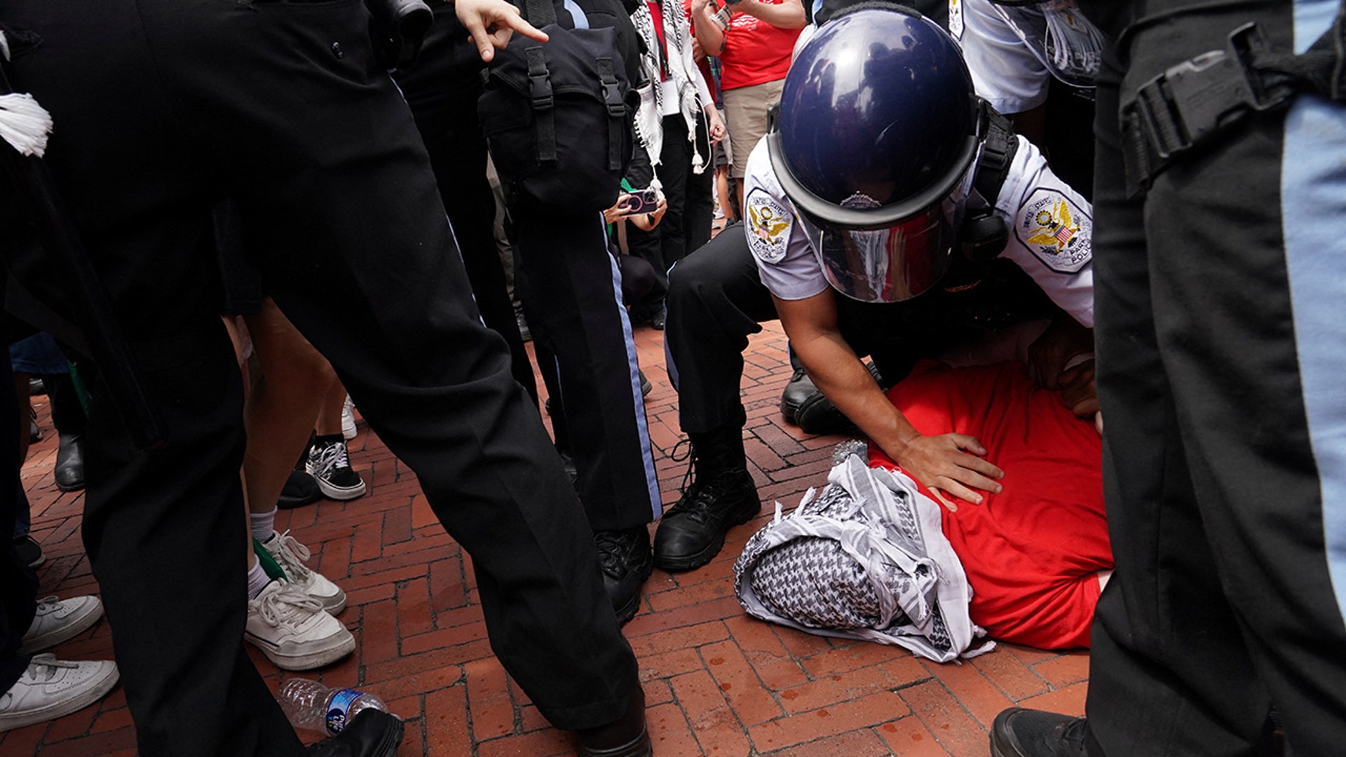 Police detain a pro-Palestinian demonstrator