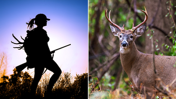 State officials propose new hunting regulations amid growing deer population