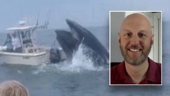 Fisherman whose boat was capsized by breaching whale speaks out: 'Was in fight or flight mode' - Fox News